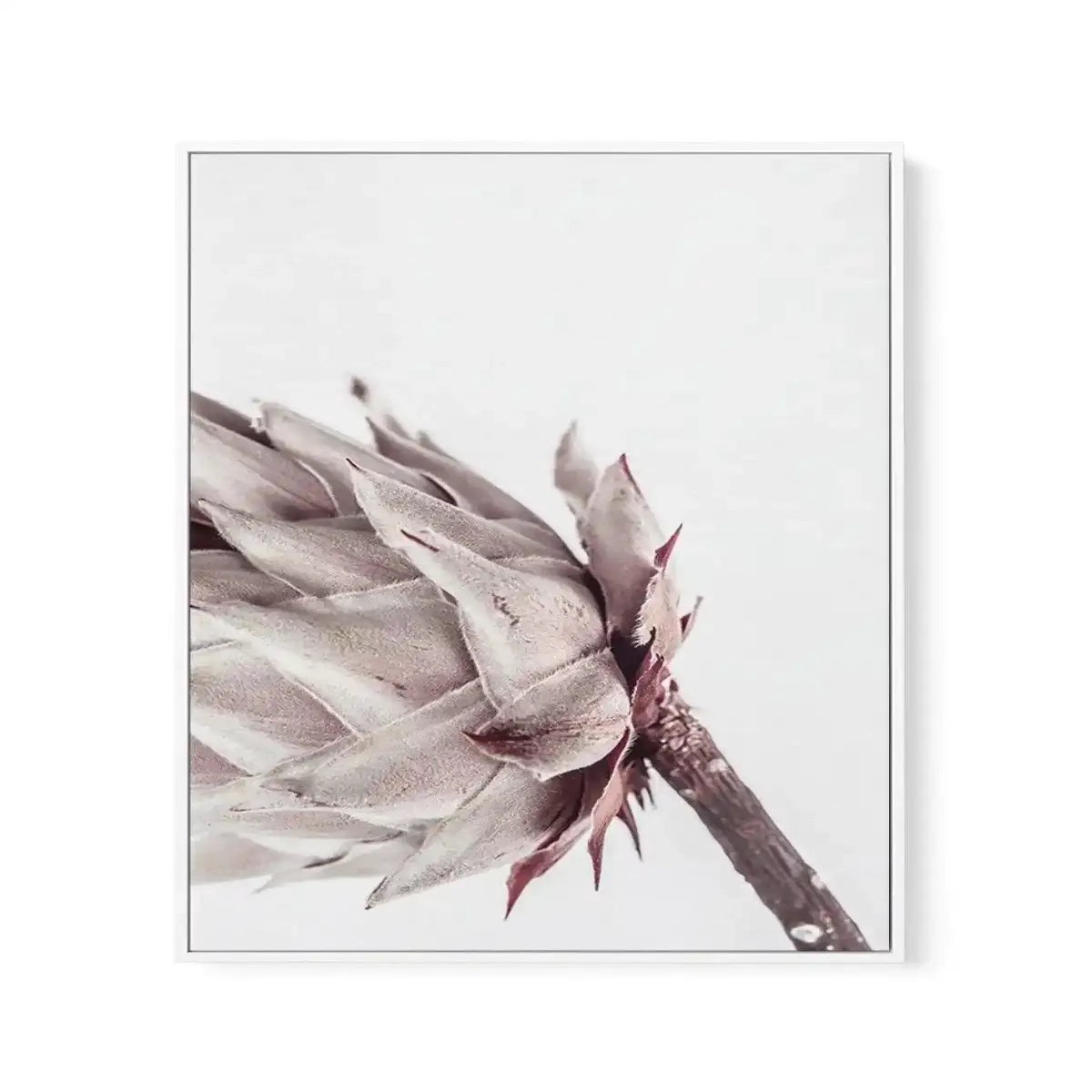 Abstract Protea I Framed Canvas Art Print