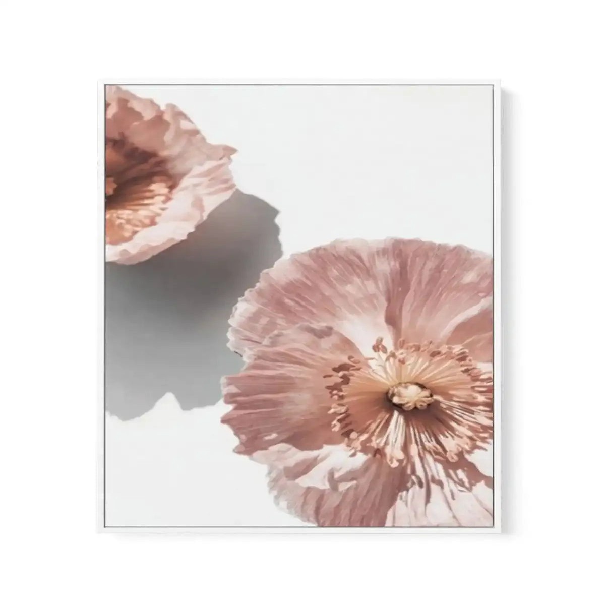 Abstract Poppies II Framed Canvas