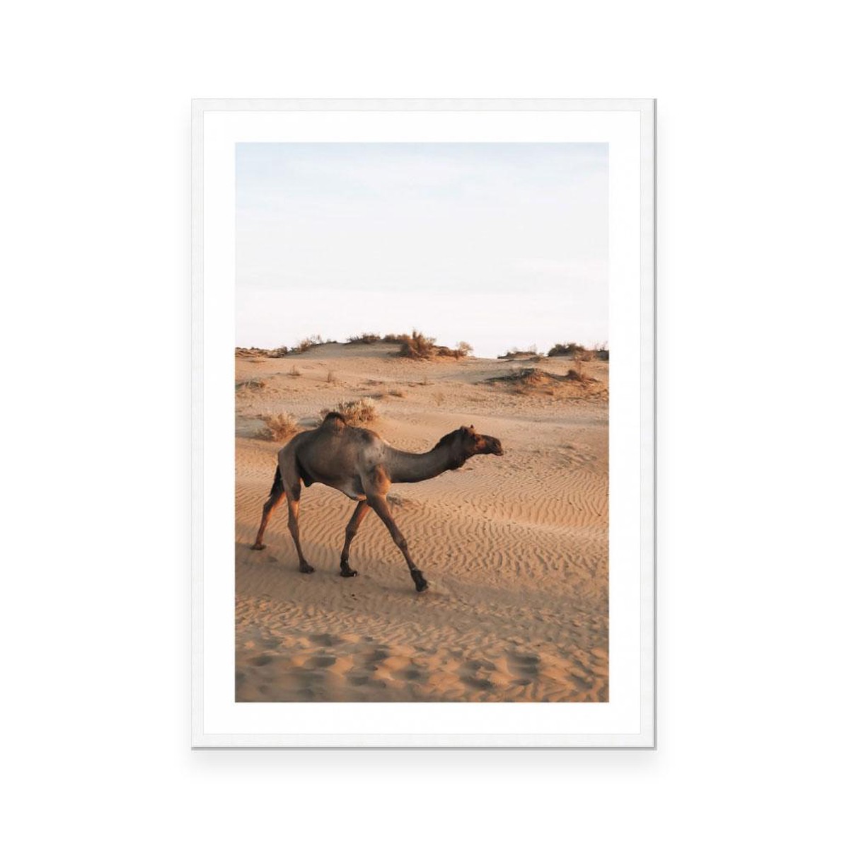 India 10 Open Edition Art Print Danielle Leigh
