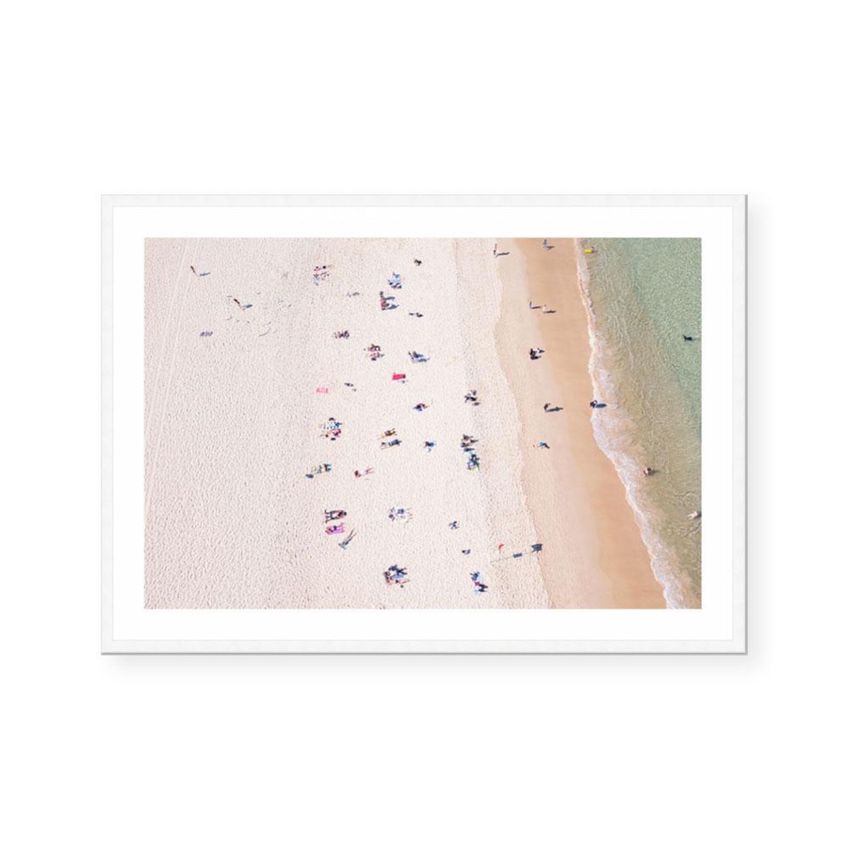 A Seagulls View