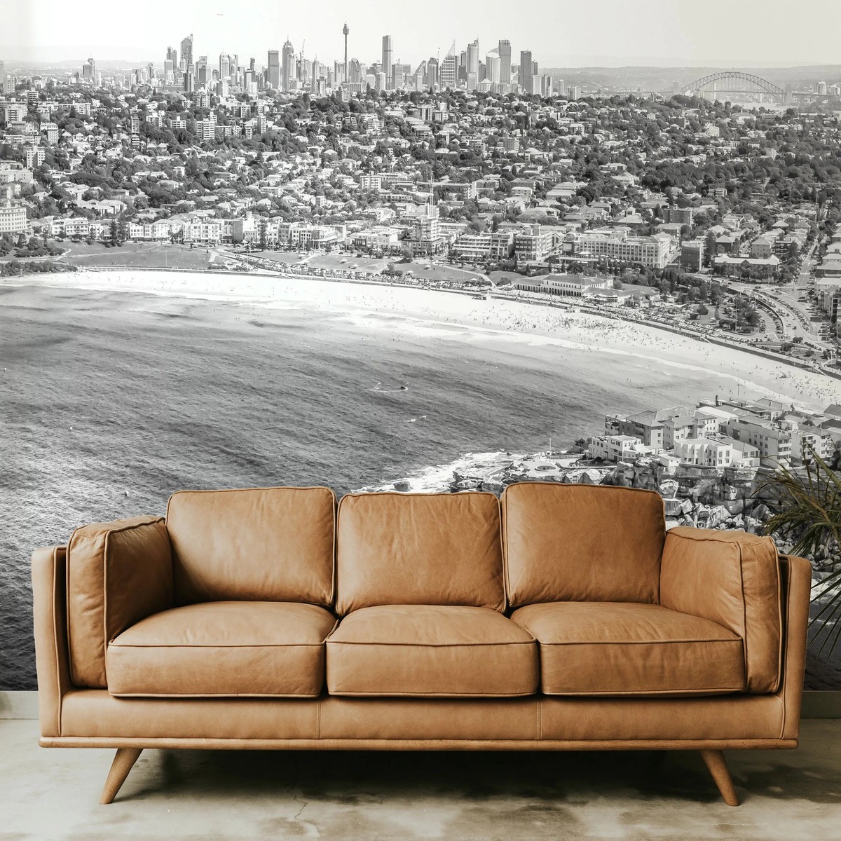 Bondi to Bridge Sydney Photo Mural Wallpaper