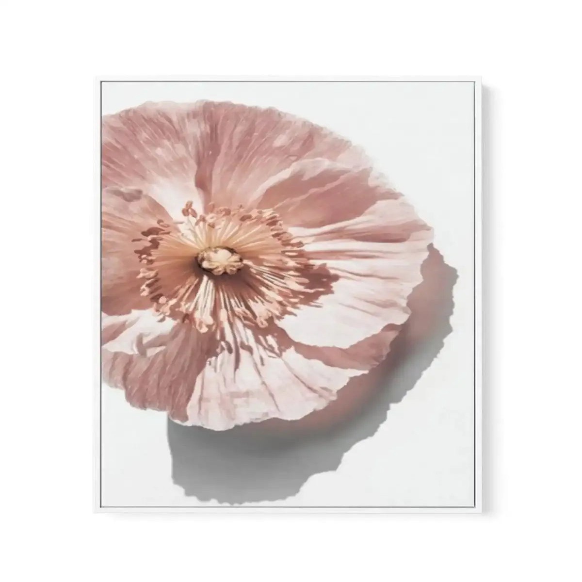 Abstract Poppies III Framed Canvas