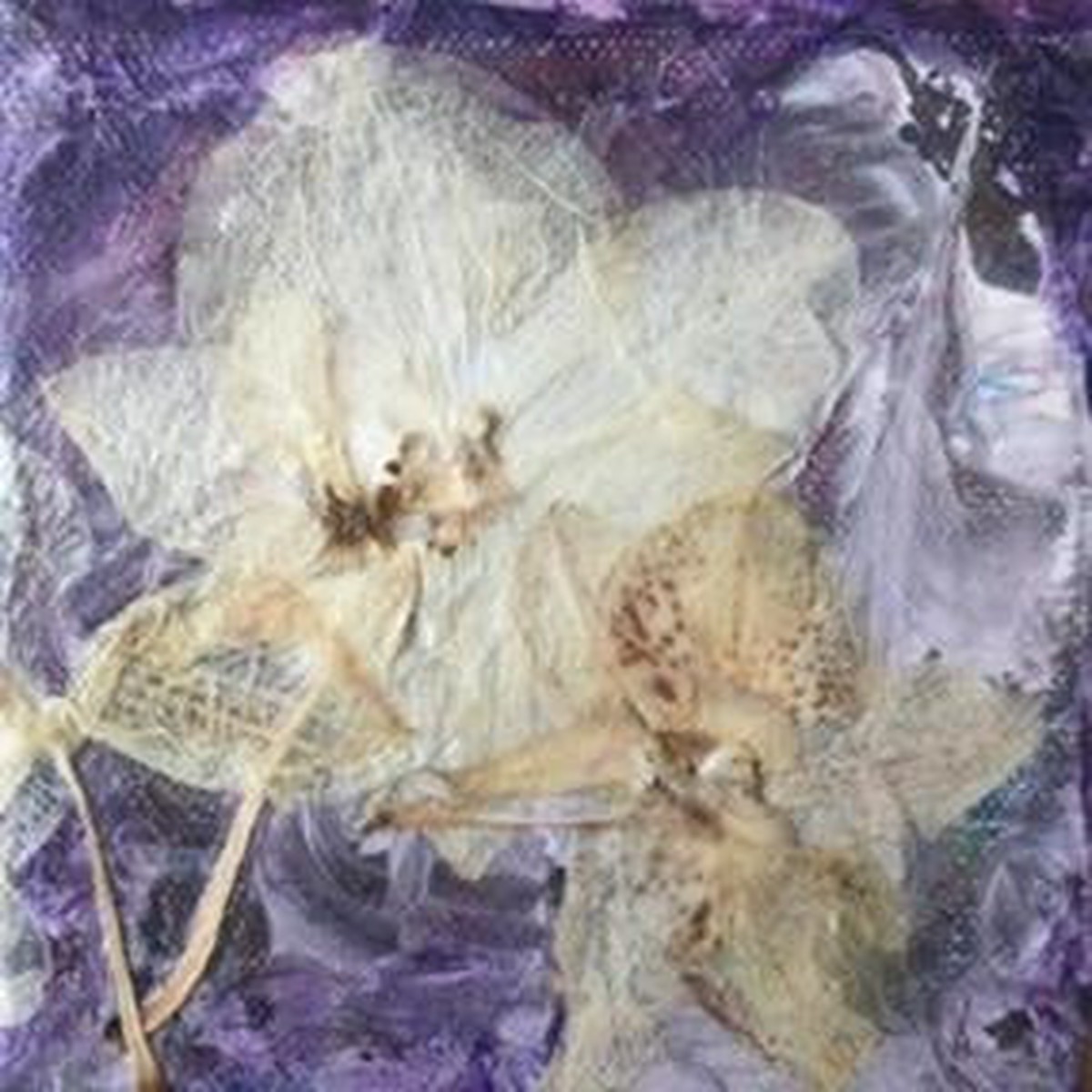 Delicate Orchids - original painting by Carla Miedema