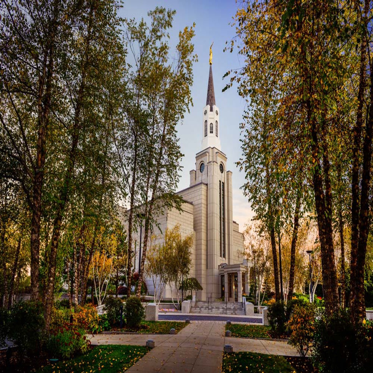 Boston Temple - Through the Trees