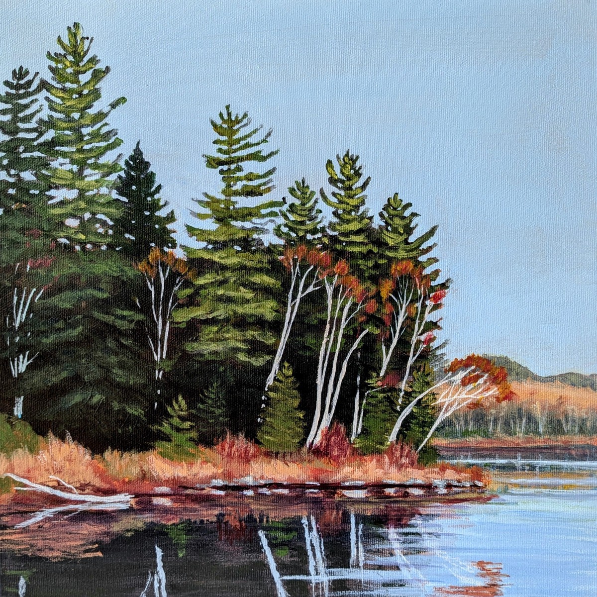 Birches On A Point - original painting by Rosalyn Insley