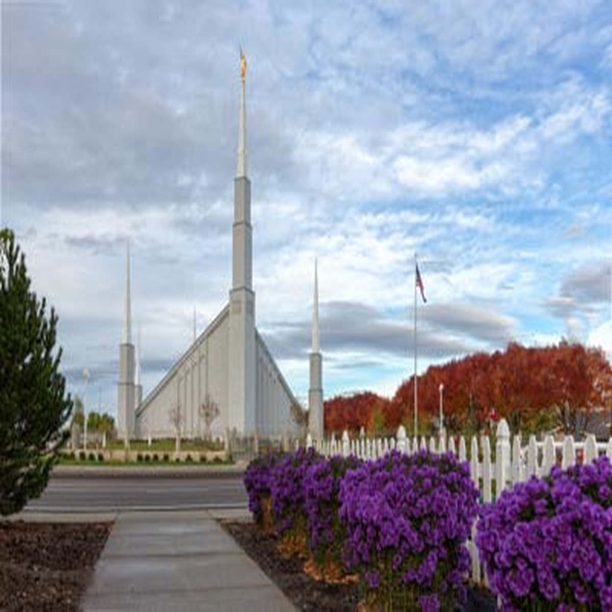 Boise Temple - Purple Flowers
