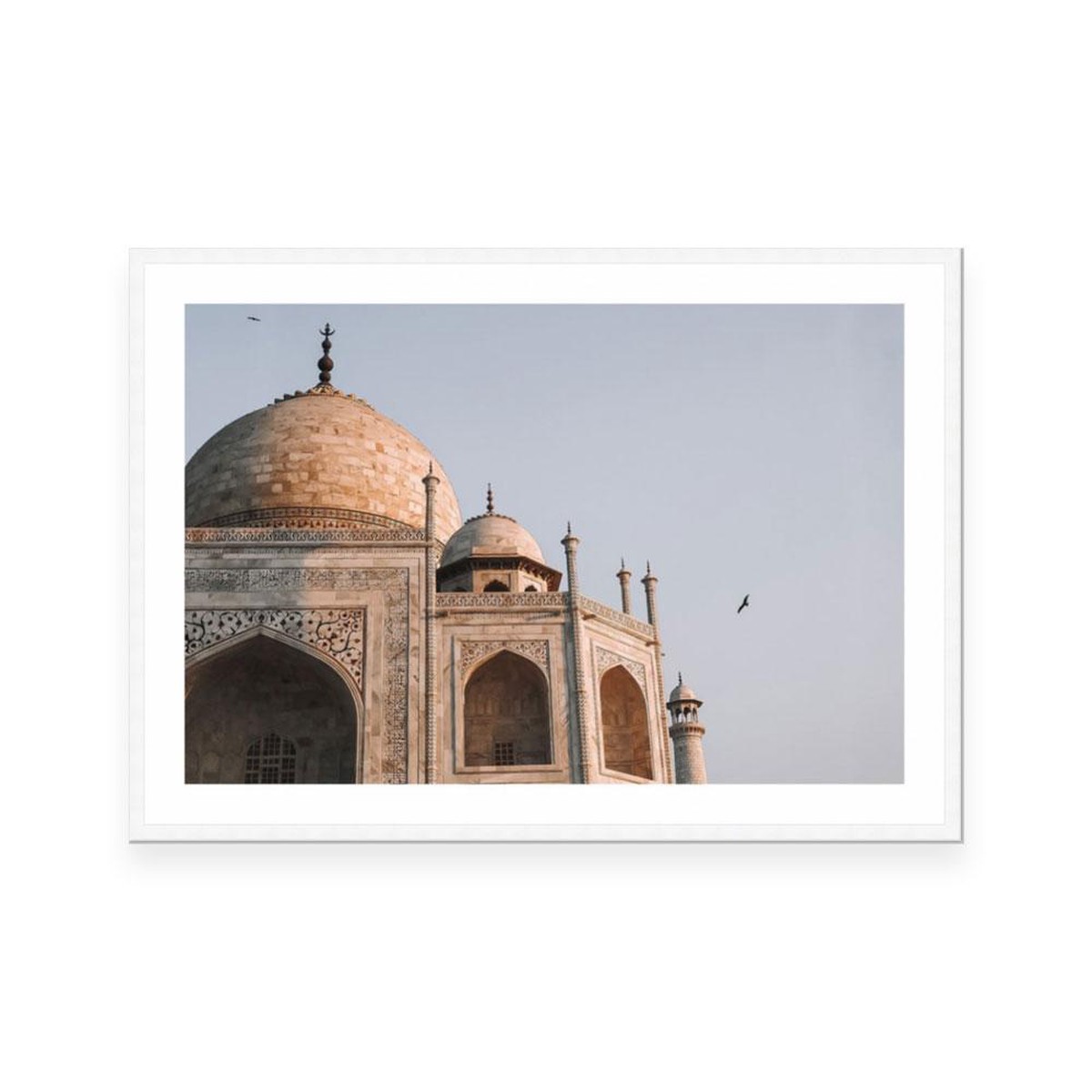 India 8 Open Edition Art Print Danielle Leigh