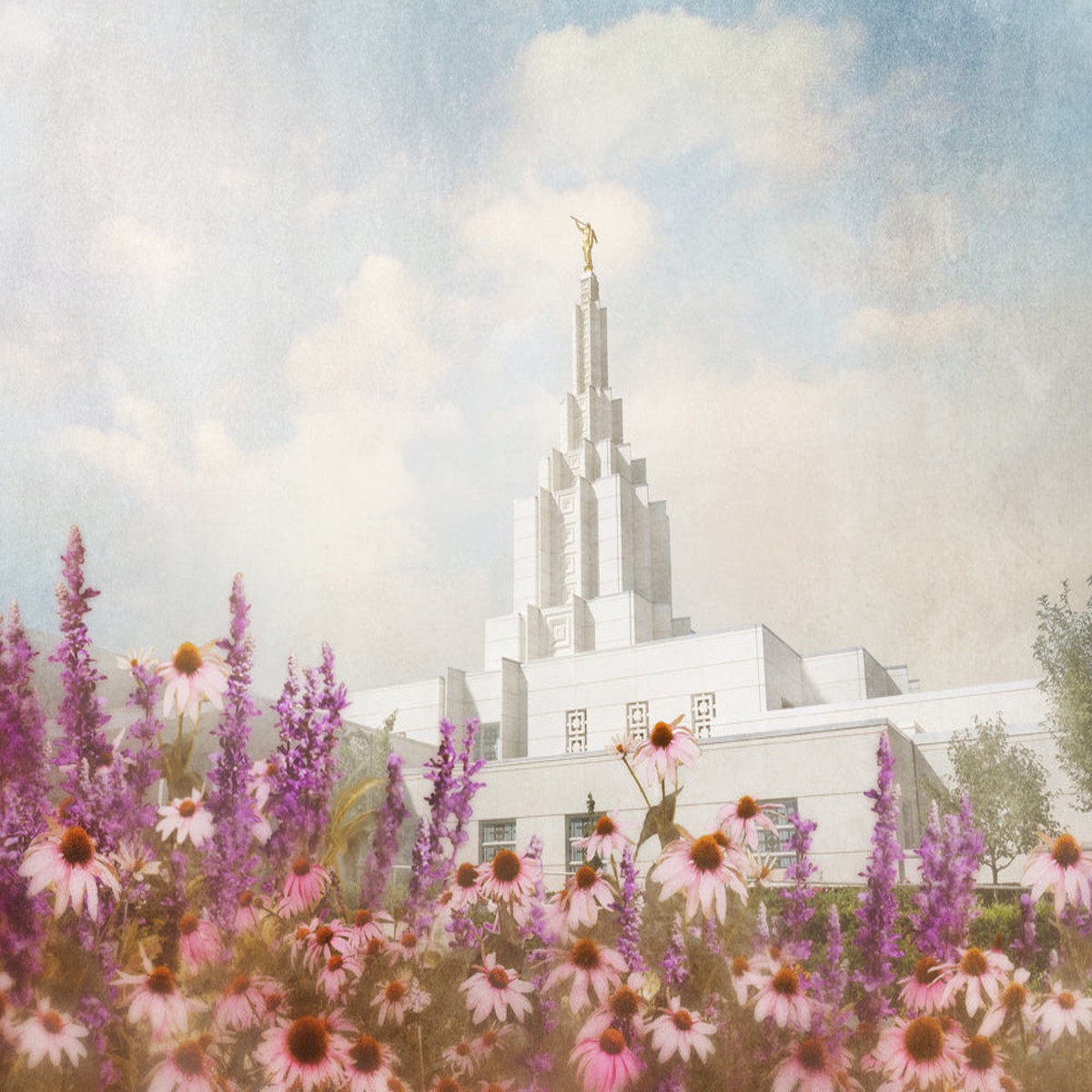 Idaho Falls Temple- Purple Flower