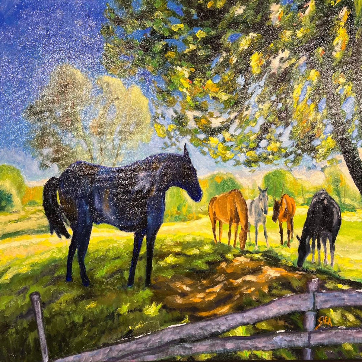 Dark Horse - original art by Pat Shea