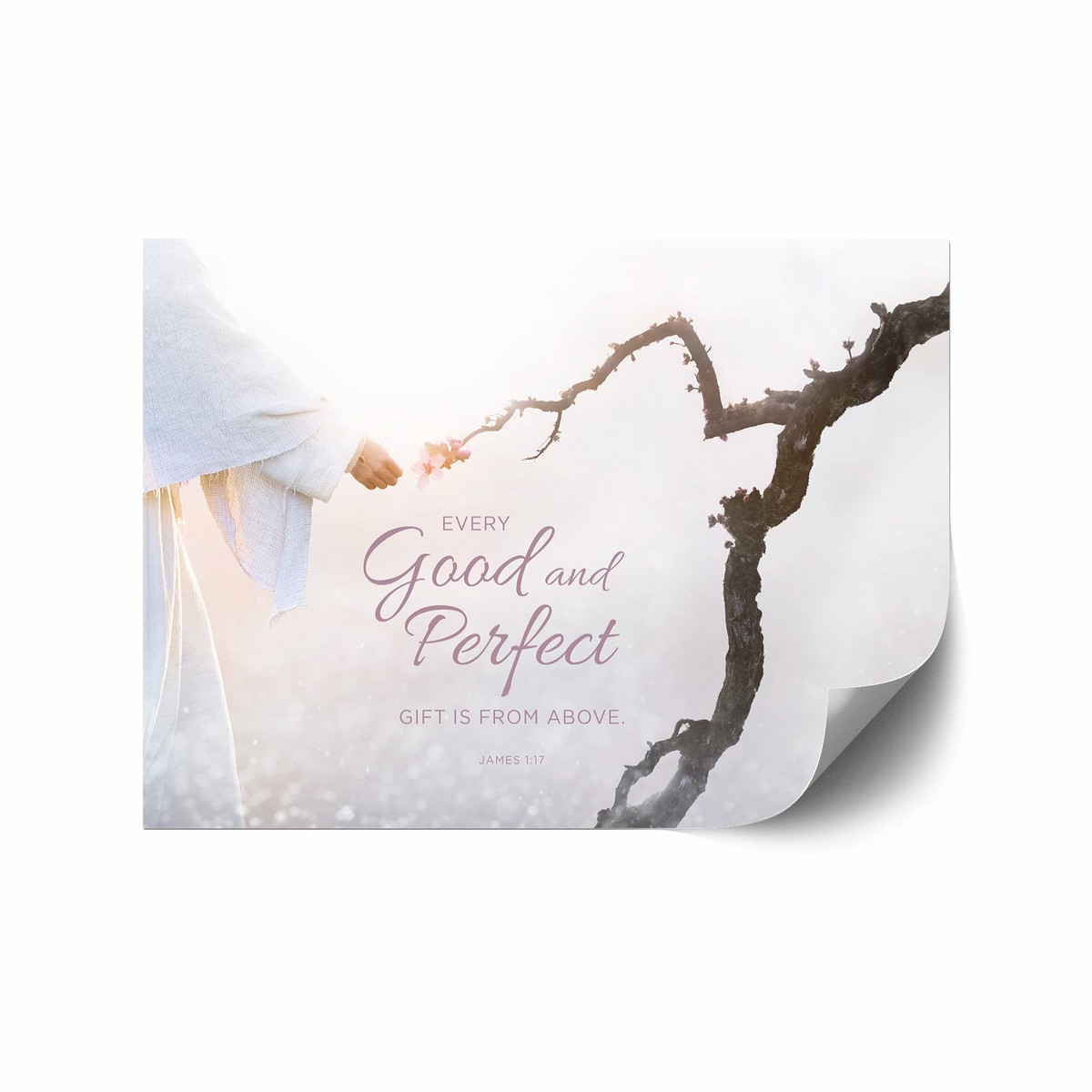 James 117 (Reborn) 12x18 repositionable poster