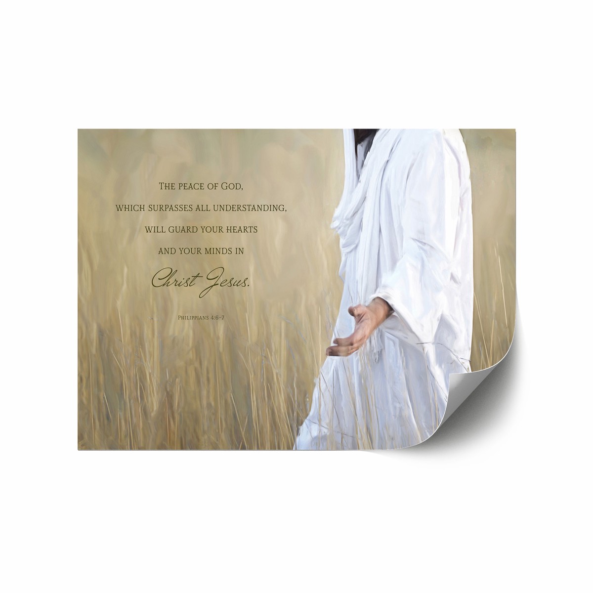 Philippians 46-7 (The Gatherer) 12x18 repositionable poster
