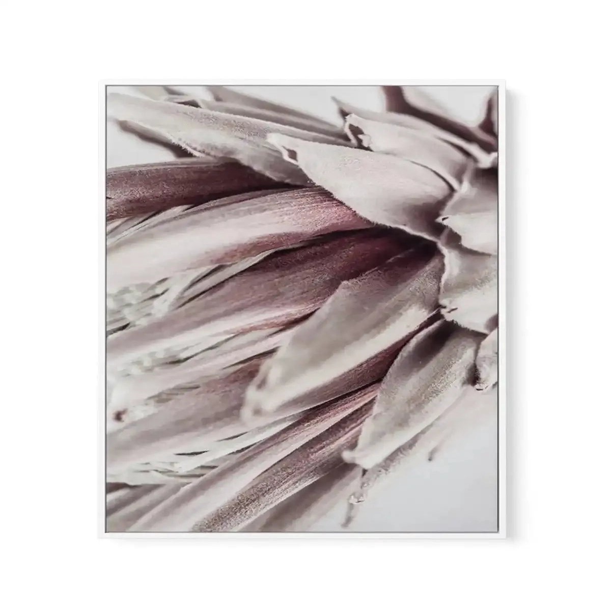Abstract Protea II Framed Canvas Art Print