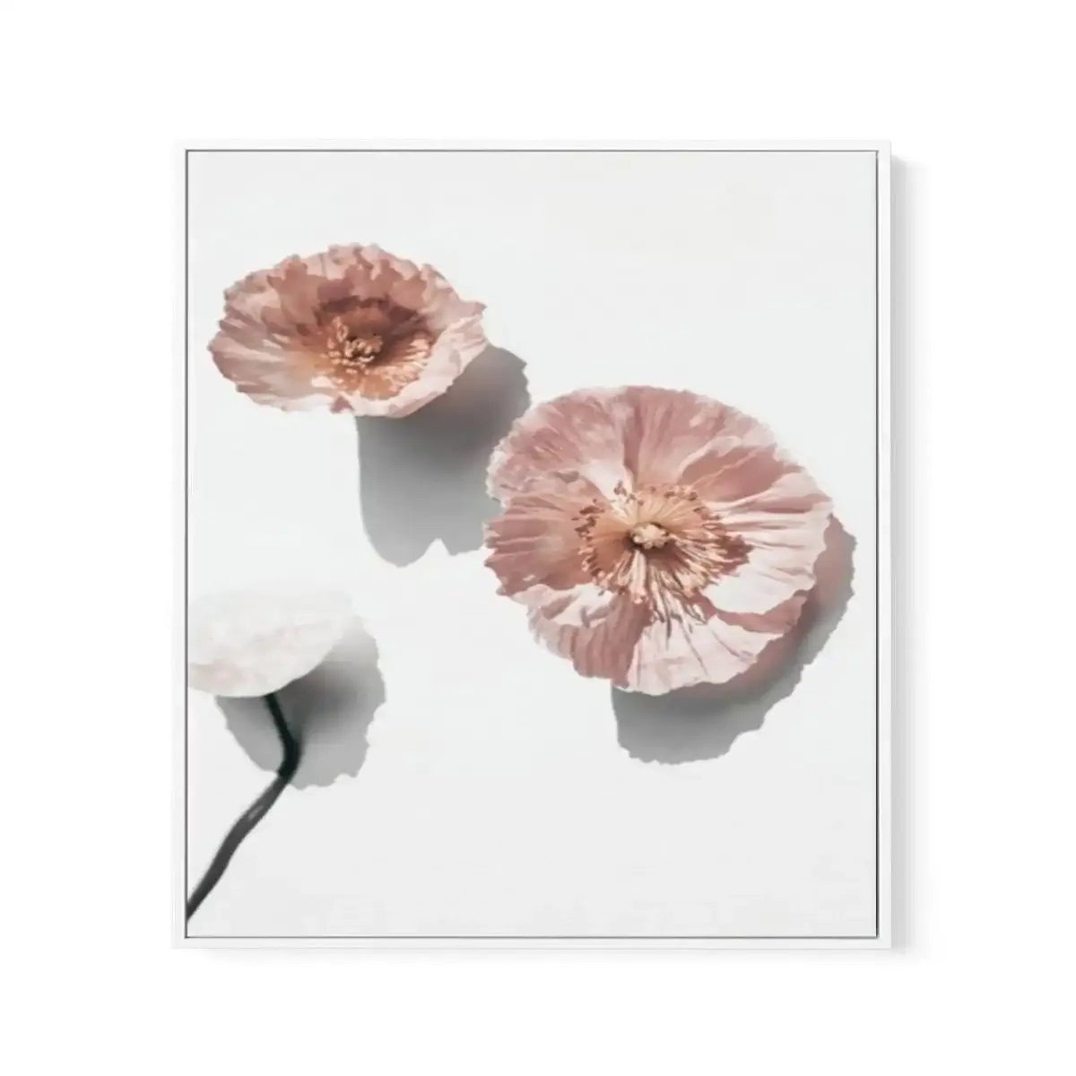 Abstract Poppies I Framed Canvas