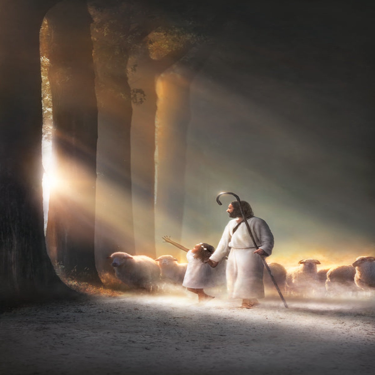 Halls of Wisdom