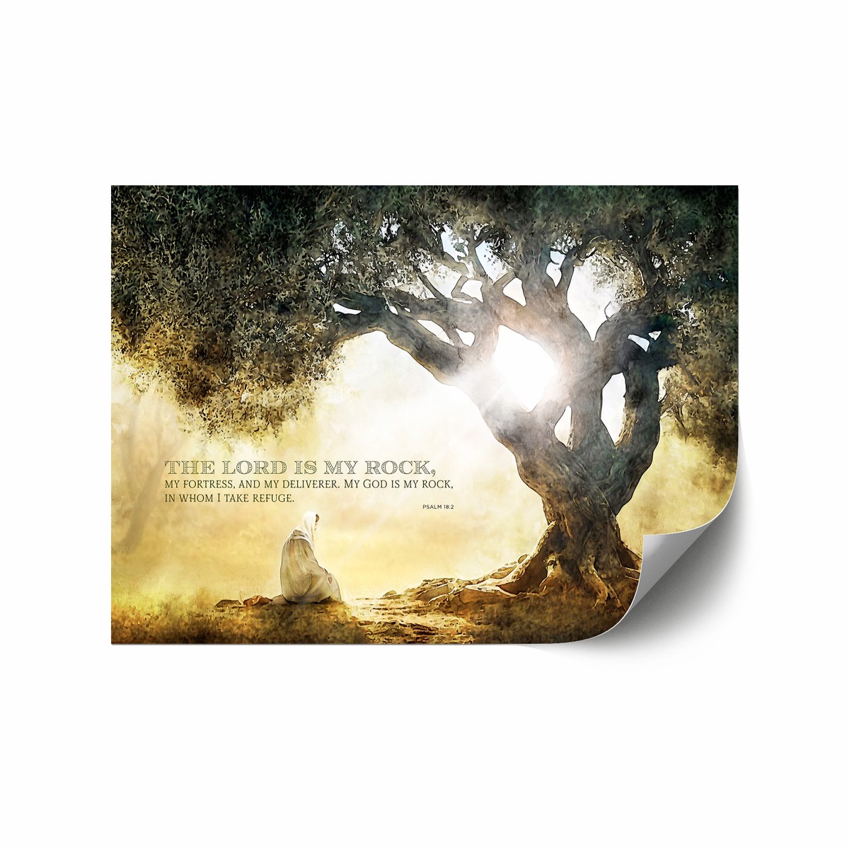 Psalm 182 (A Place Called Gethsemane) 12x18 repositionable poster