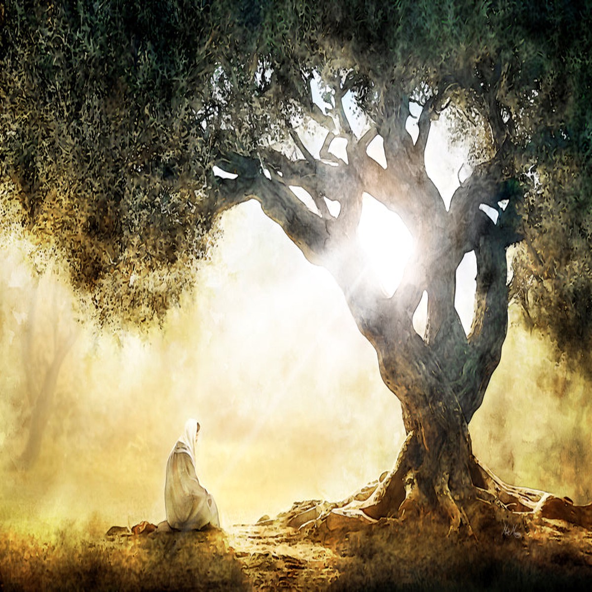 A Place Called Gethsemane