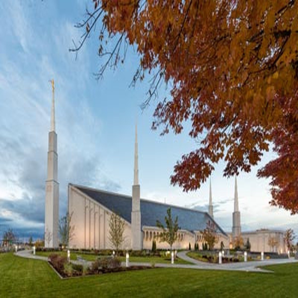 Boise Temple - Fall Trees