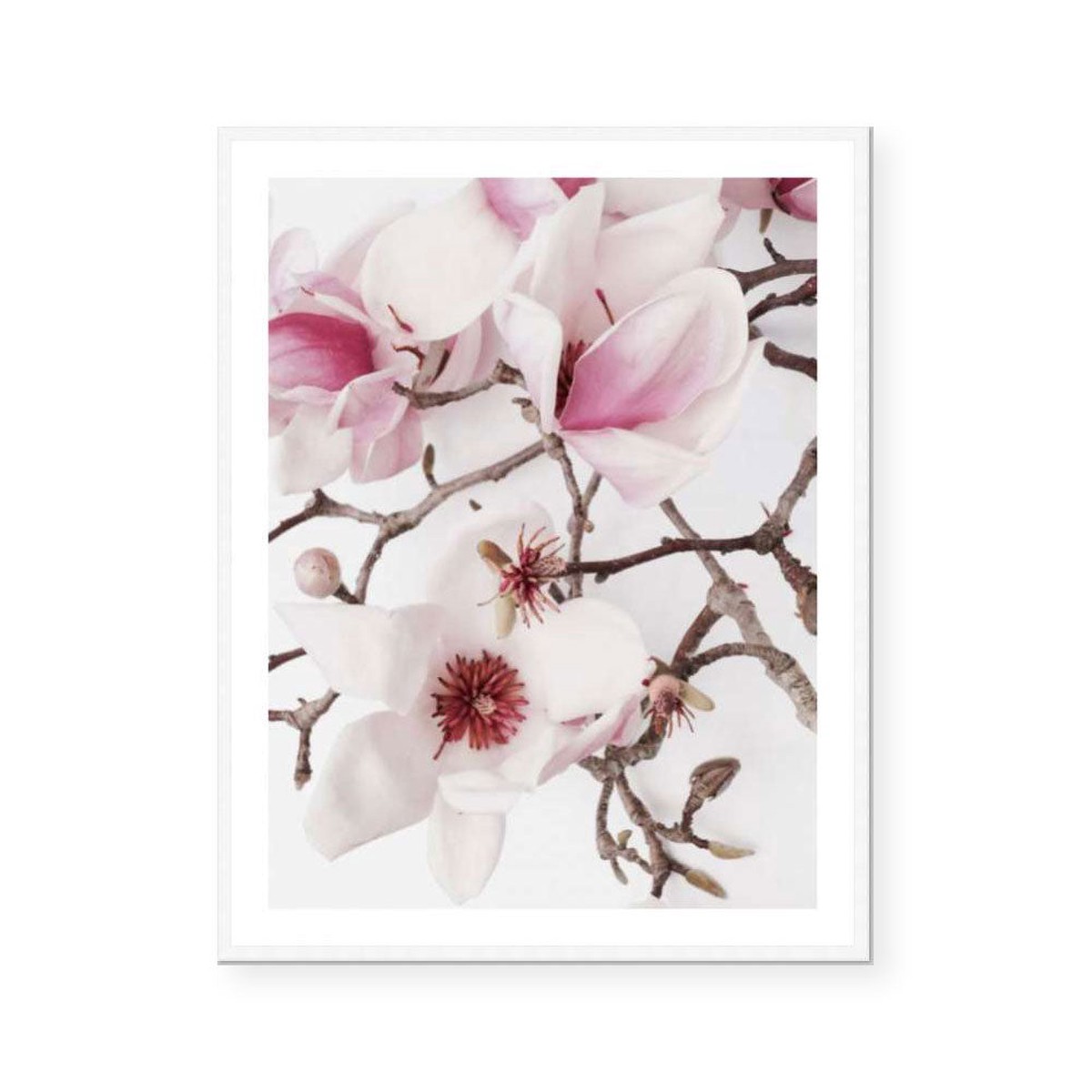 Magnolia Luisa Katie Clulow