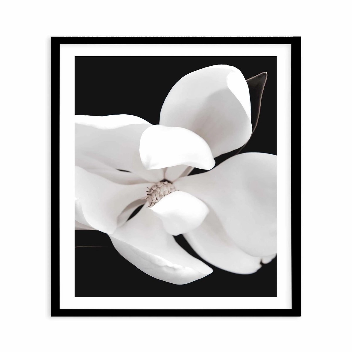 SALE 100x130 Dark Magnolia II PT Black Framed Acrylic Art