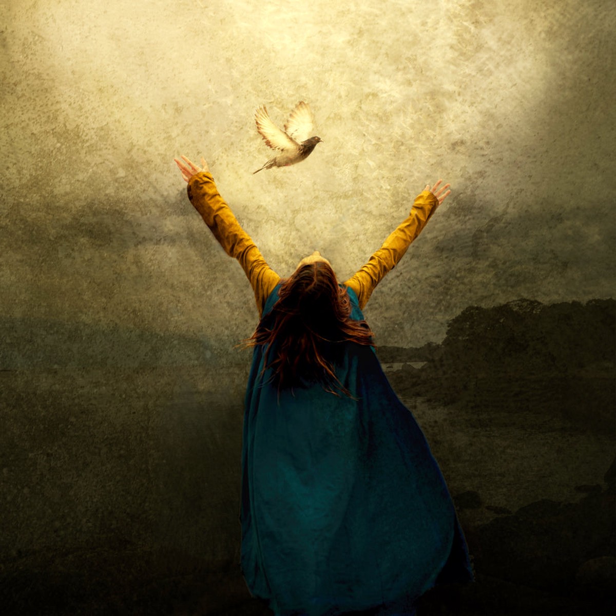 Freedom Song