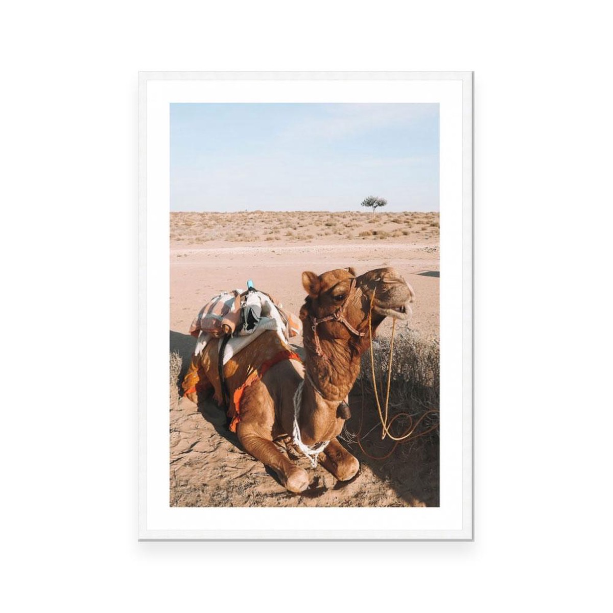 India 9 Open Edition Art Print Danielle Leigh