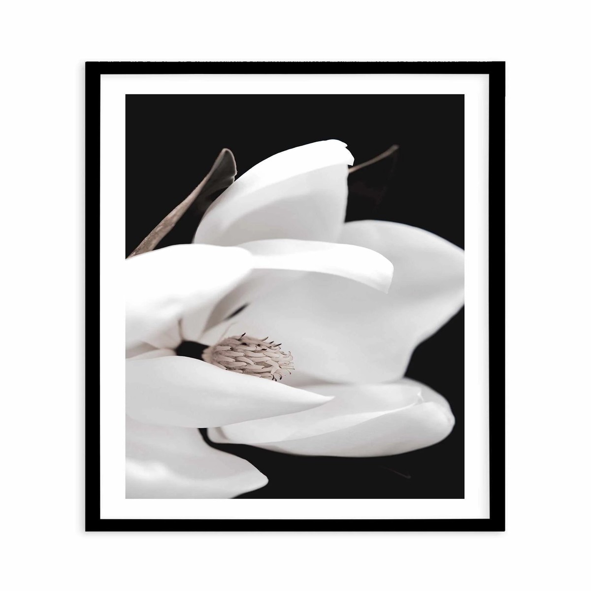 SALE 100x130 Dark Magnolia I PT Black Framed Acrylic Art